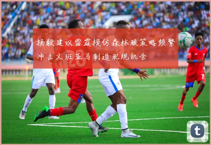 杨毅建议雷霆模仿森林狼策略频繁冲击文班亚马制造犯规机会